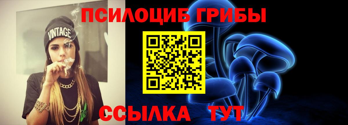 Звенигород  Галлюциногенные грибы прущие грибы  Вход с VPN 